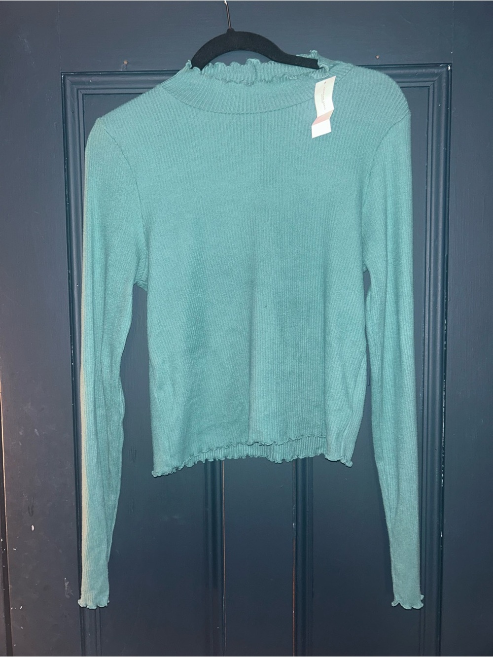 American Eagle Ribbed Mock Neck Long-Sleeve Top - large NWT